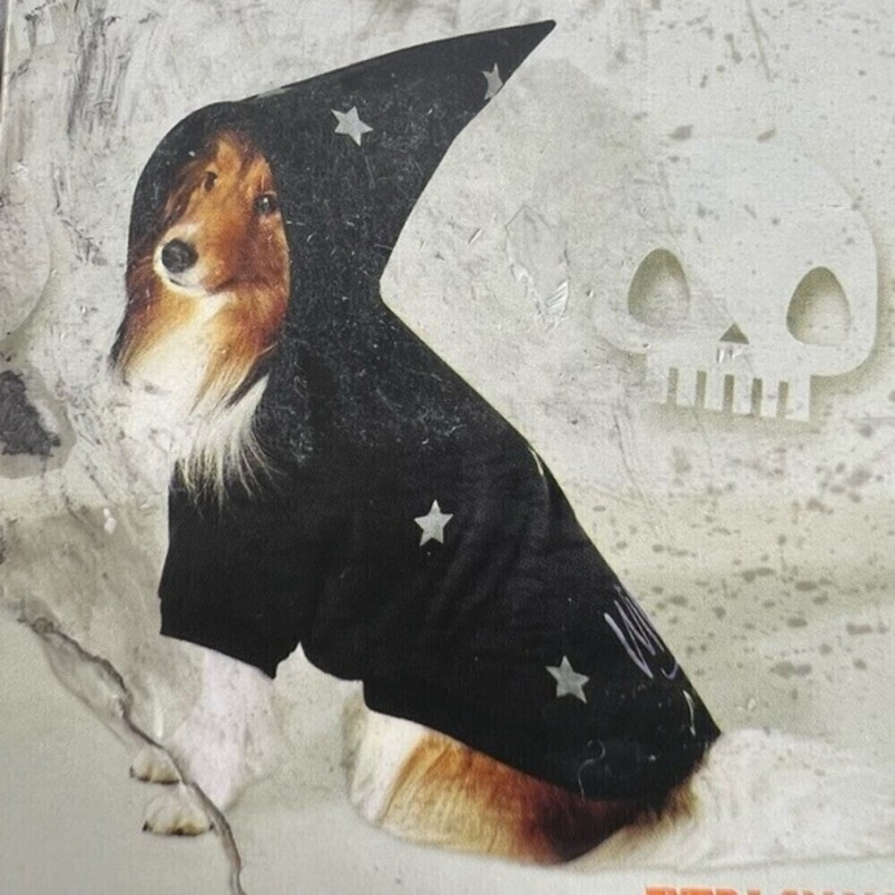 Dog witch costume size small